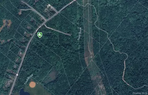 1171 Lakes Rd, Monroe, NY 10950