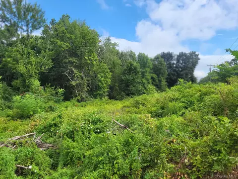 W Nys Rte 208 Highway Avenue, Shawangunk, NY 12589