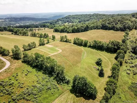 Beechwoods Road, Delaware, NY 12723 photo 3