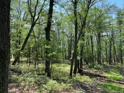lot7 Sunflower Dr, Lumberland, NY 12737