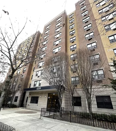 1259 Grant Ave #8A, New York, NY 10456