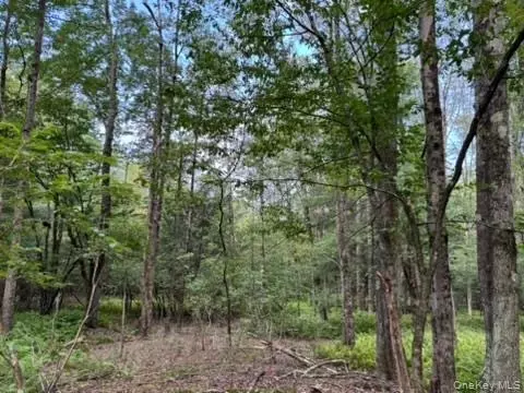 113 Moore, Fallsburg, NY