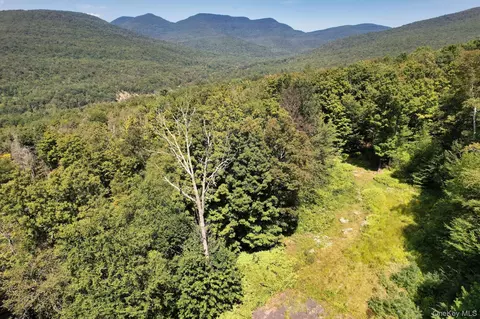 tbd Macdaniel Rd, Woodstock, NY 12409