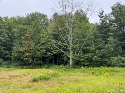 480 Cr 131, Fremont, NY