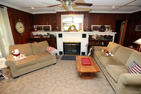 Living - 66 Raspberry Park Rd, Fremont, NY 12760 photo 3 of 3