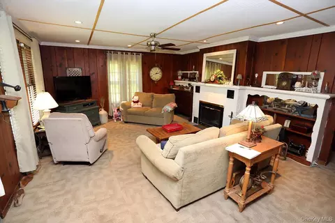 Living - 66 Raspberry Park Rd, Fremont, NY 12760 photo 1 of 3