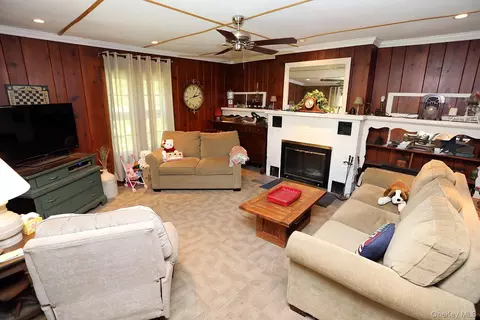 Living - 66 Raspberry Park Rd, Fremont, NY 12760 photo 2 of 3