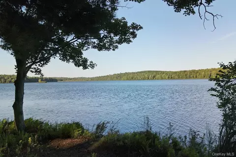 2 Lena Rd, Forestburgh, NY photo 6