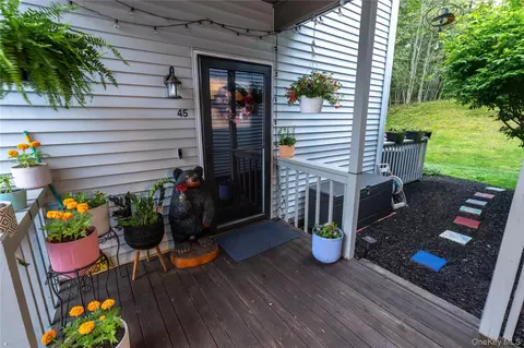 45 Aldo Ct, Monroe, NY 10950