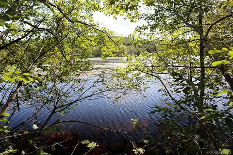 tbd George Segar Rd, Bethel, NY 12783