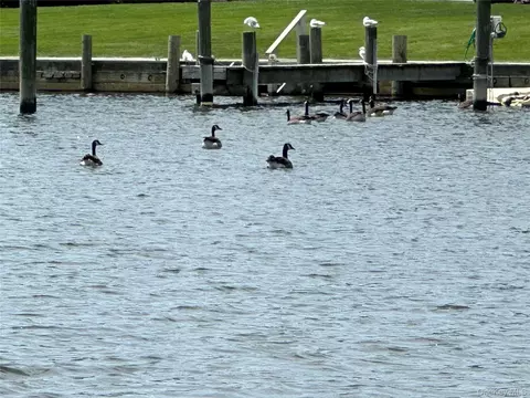 View/Area - 151 Fairharbor Dr #151, Patchogue, NY 11772 photo 3 of 3