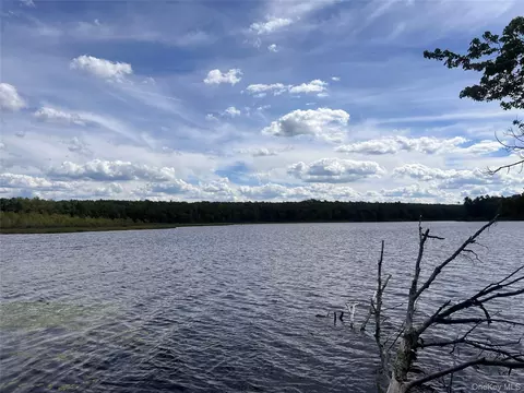 11 Wild Tpke, Thompson, NY 12775