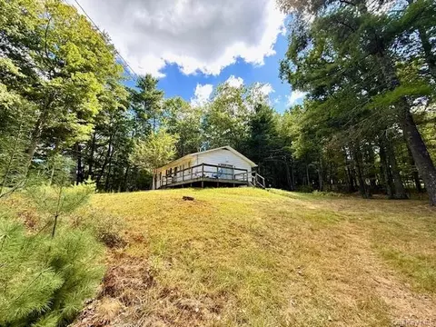 469 White Rd, Lumberland, NY 12737