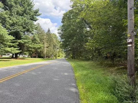 lot1 Shoddy Hollow Rd, Mount Hope, NY 10963