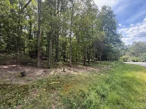 lot2 Shoddy Hollow Rd, Mount Hope, NY 10963