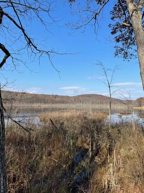 Lily Lake Road, Lloyd, NY 12528