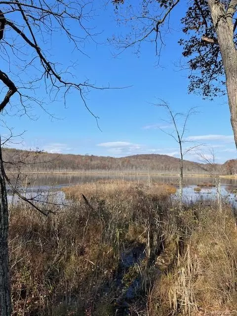 Lily Lake Road, Lloyd, NY 12528