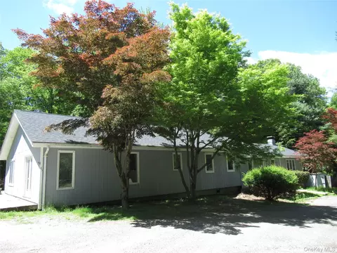 49 Lakeview Dr, Holmes, NY 12531