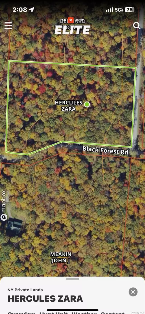 Black Forest Road, Lumberland, NY 12737
