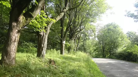 Henry Road, Wawarsing, NY 12420