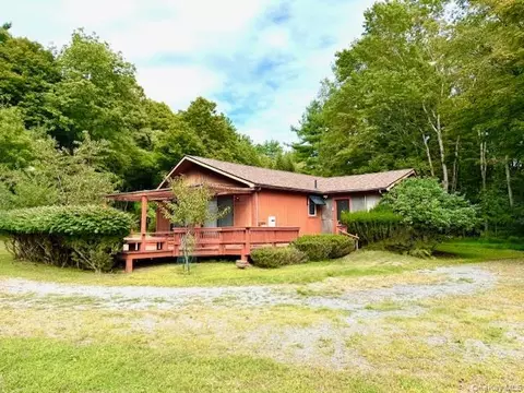 19 Andrew Paye Rd, Lumberland, NY 12770