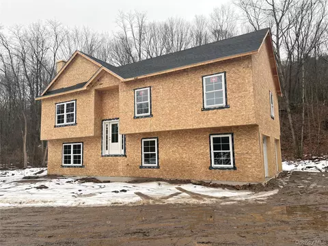 20 Neversink Dr, Deerpark, NY 12771