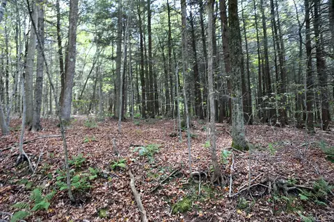 0 Rt-97, Hancock, NY 13783