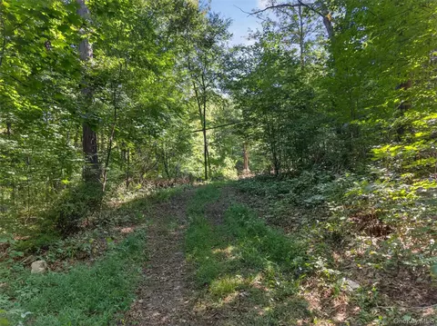 331 Mountain Lodge Rd, Blooming Grove, NY 10914 photo 42