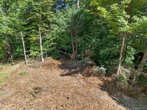 331 Mountain Lodge Rd, Blooming Grove, NY 10914 photo 38