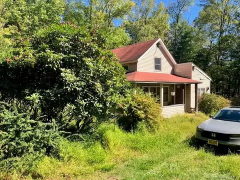 351 Red Hill Rd, Mamakating, NY 12790