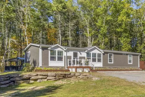 110 Silver Spur Rd W, Cairo, NY 12413