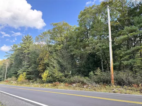 Crystal Lake Rd, Bethel, NY 12720