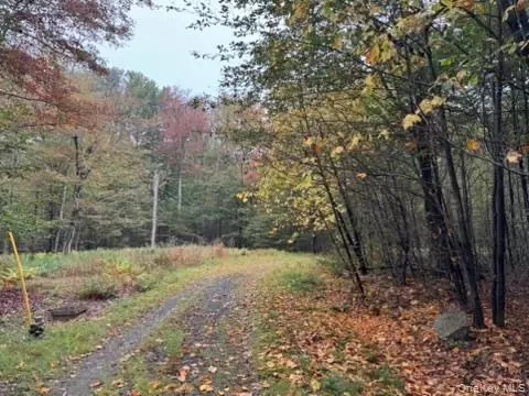 Little Ireland Road, Rockland, NY 12758