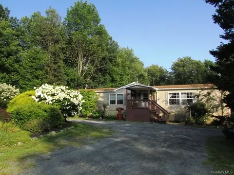 366 Park Hill Rd, Mountain Dale, NY 12763