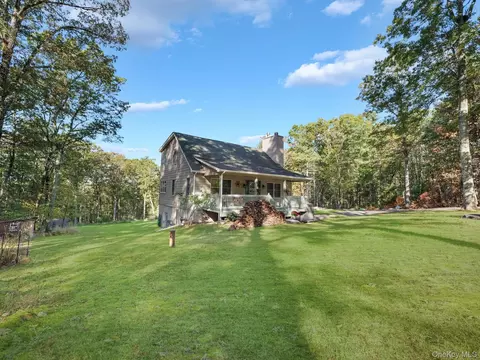 55 Ozeriany Rd, Lumberland, NY 12719