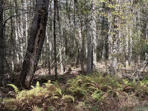 17 Lot 17 Desmond Xing, Bethel, NY 12720