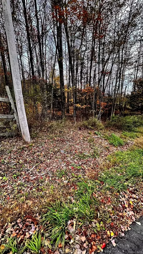 tbd Hysana Rd, Fallsburg, NY 12733