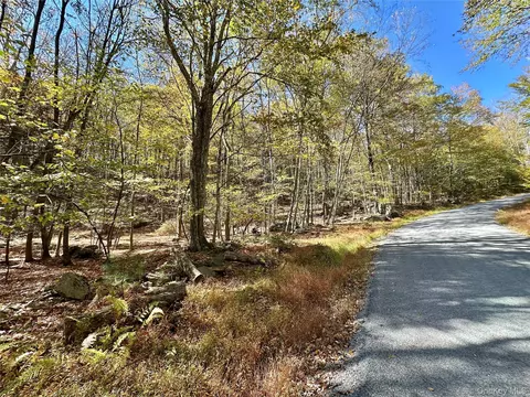 Aldrich Road, Mamakating, NY 12790