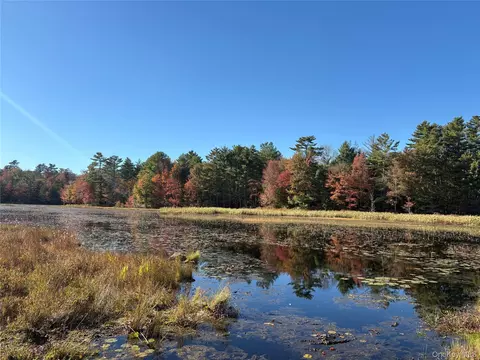 lot4 Deer Meadow Rd, Bethel, NY 12786