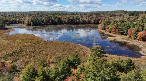 lot4 Deer Meadow Rd, Bethel, NY 12786
