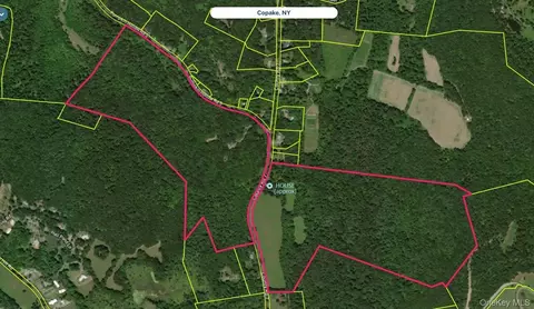2934 County Route 7, Copake, NY 12516