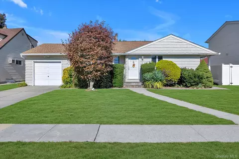 29 Adelphi Rd, Hicksville, NY 11801