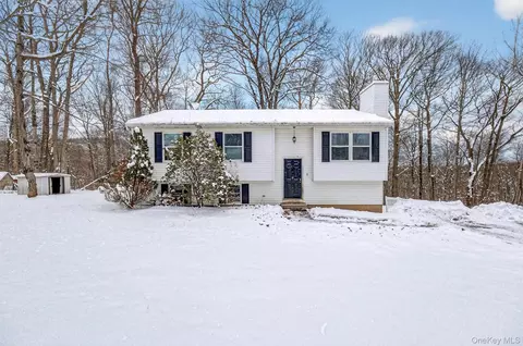 11 Park Ln, Holmes, NY 12531