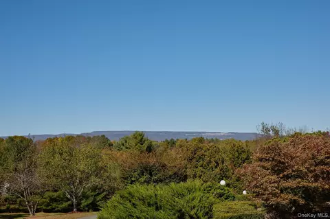 27 Westview Dr, Shawangunk, NY 12589 photo 46