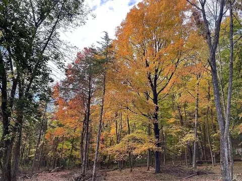 410 County Rt 25, Stockport, NY 12434