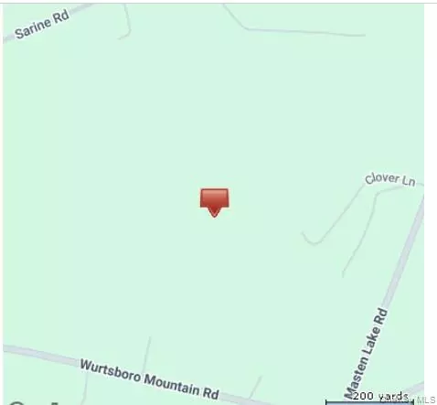 Park Avenue, Mamakating, NY 12790