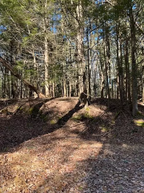 198 W Starlight Dr, Bethel, NY 12778