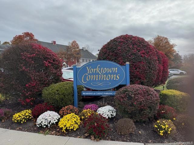 1924 Commerce St Yorktownnull