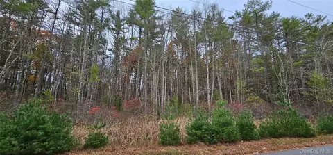 lot28 Summit Dr, Highland, NY 12792