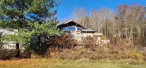 371 Kelly Bridge Rd #373, Swan Lake, NY 12783